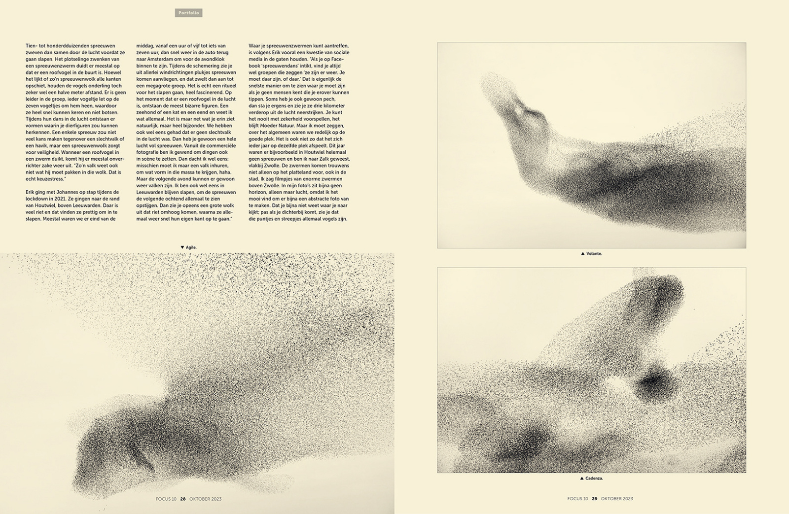 focus10-2023_6_erikhijweege.indd